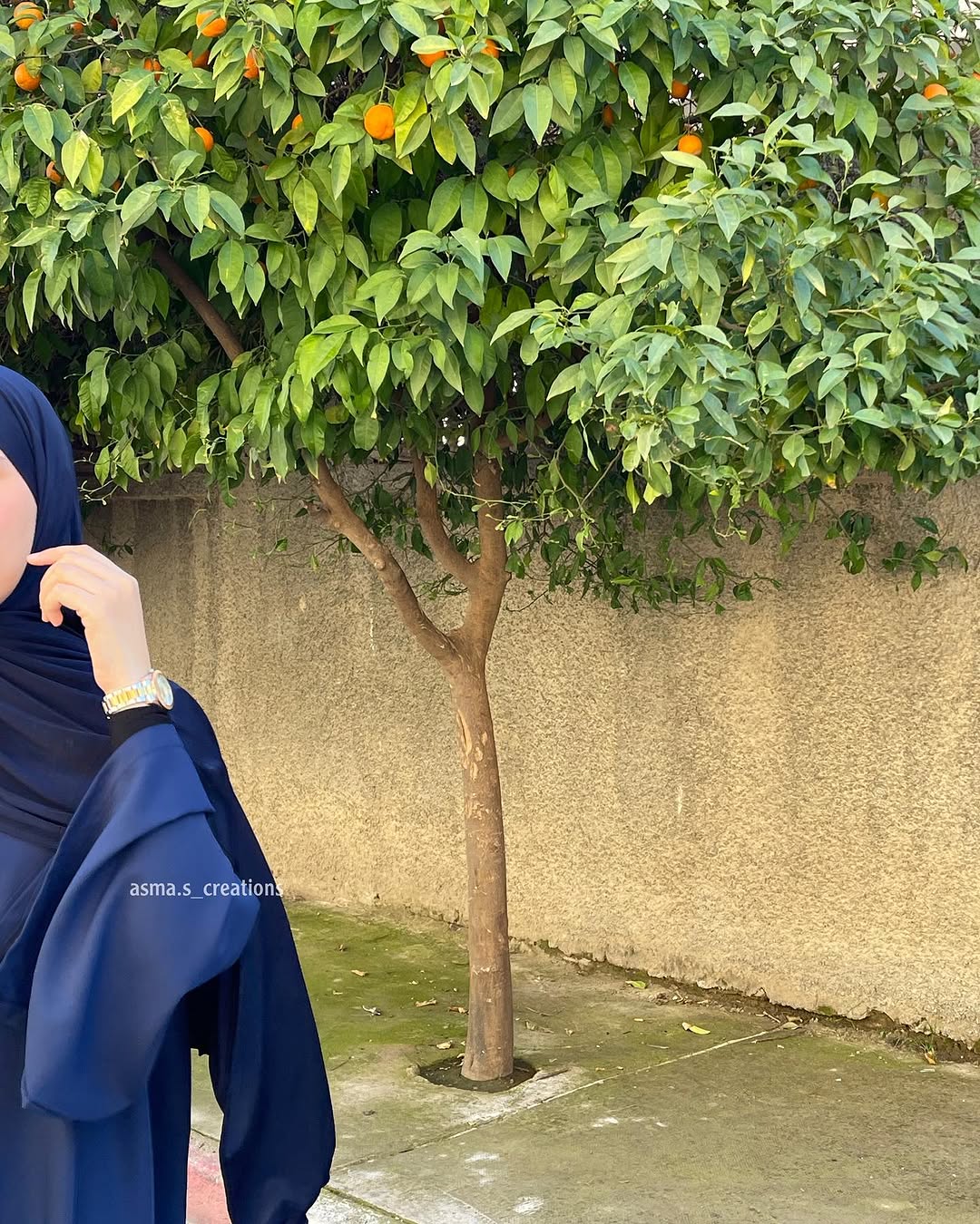 Noor-e-Lail Abaya