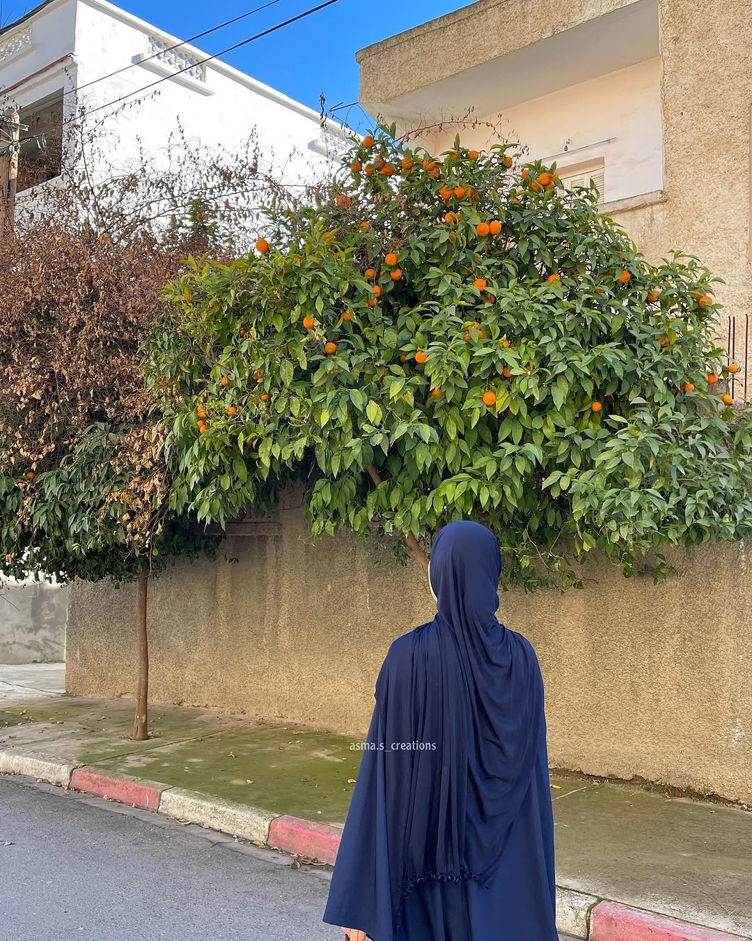 Noor-e-Lail Abaya