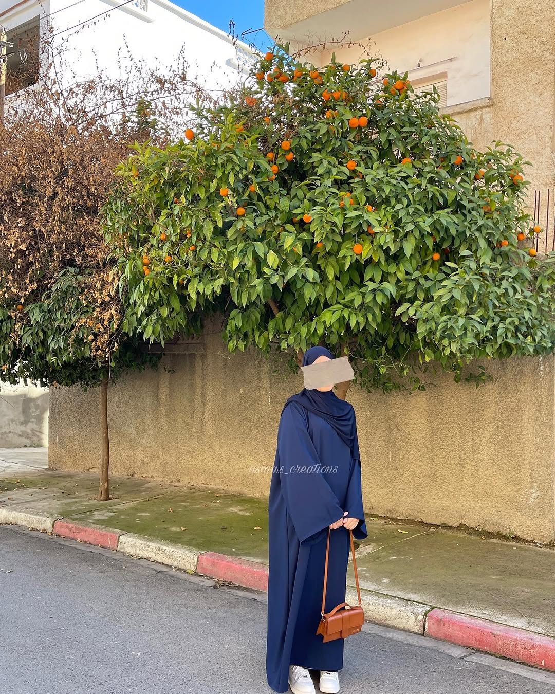 Noor-e-Lail Abaya
