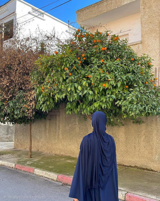 Noor-e-Lail Abaya
